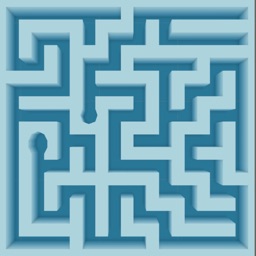 Master Of Maze3D