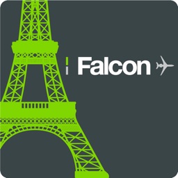 Falcon M&O Paris