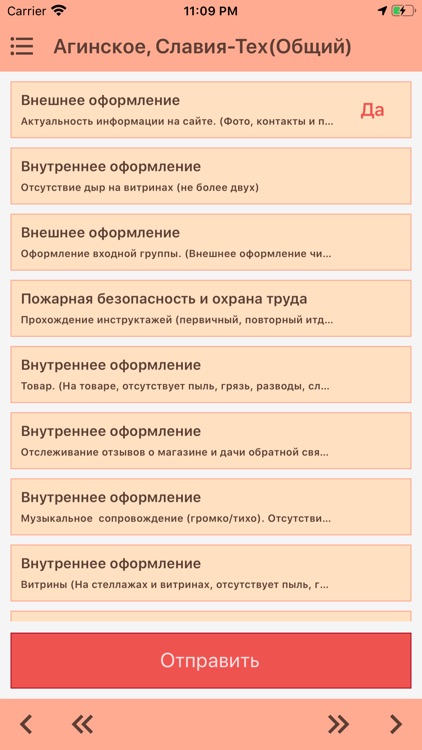 МегаАудитор screenshot-3