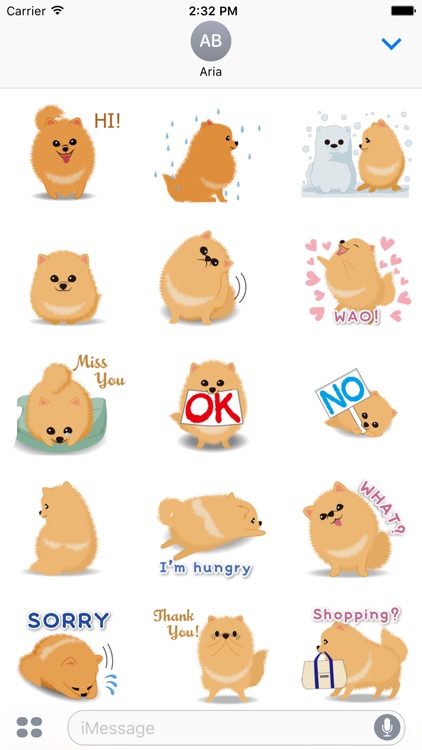 Pomeranian Dog Pom Pom Sticker