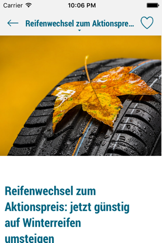 DB Autohaus - náhled
