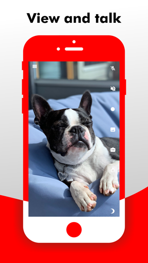 Camy — Live Video Monitoring for iPhone - APP DOWNLOAD