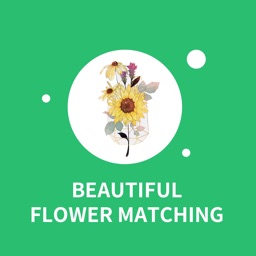 Beautiful Flower Matching