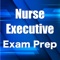 Nurse executives are high-level leaders of a healthcare organization