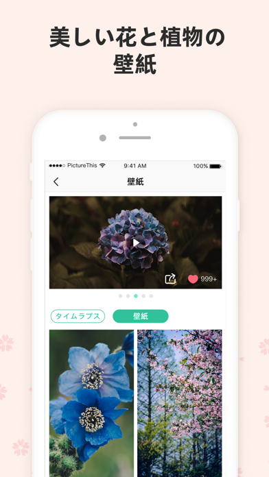 Picturethis 撮ったら 判る 1秒植物図鑑 By Glority Global Group Ltd
