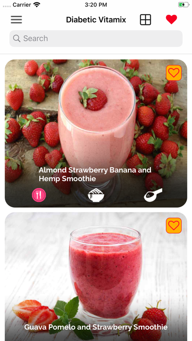 Diabetic Vitamix Recipes screenshot 4