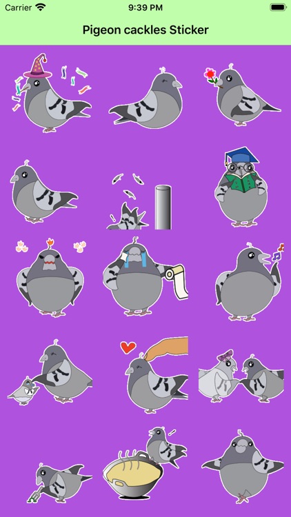 Pigeon cackles Sticker
