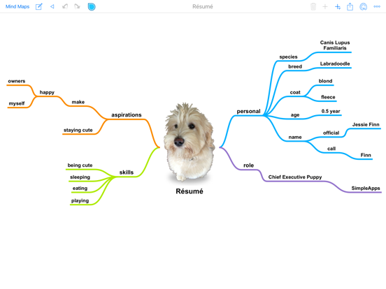 SimpleMind Pro+ Mind Mapping Screenshot 0