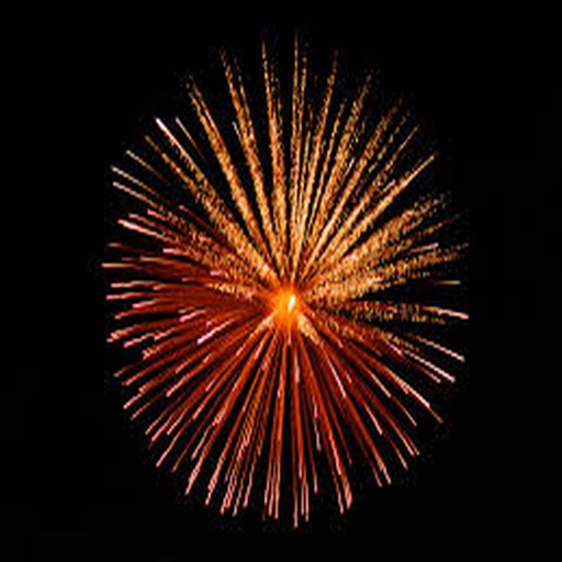 Fireworks Pro - Best Fireworks