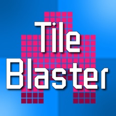 Activities of TileBlasterplan