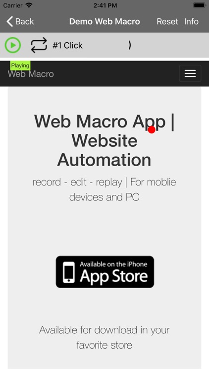 Web Macro Bot: Record & Replay screenshot-3