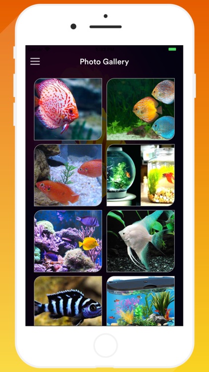 Mysore Aquariums screenshot-7