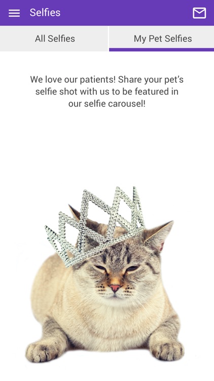 Carefree Cats Vet Hospital screenshot-3