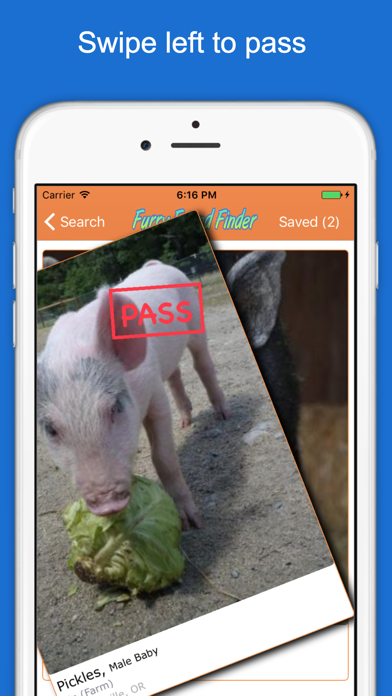 How to cancel & delete Furry Friend Finder Pet Rescue from iphone & ipad 4