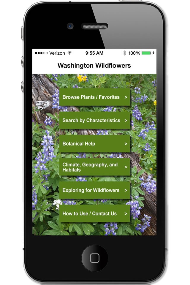 Washington Wildflowers screenshot 2