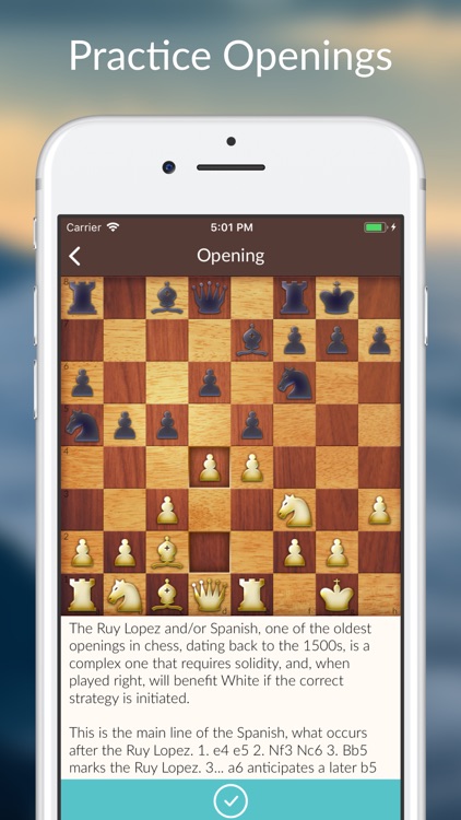 Chess Tactics and Lessons screenshot-4