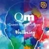 QMC Wellbeing