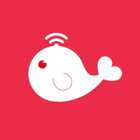 鲸溪网校HD pour PC
