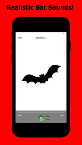 Game screenshot Bat Sounds & Bat Sounds Effect hack