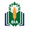 The BIA School
