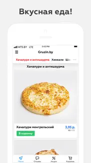 gruzin.by | Доставка problems & solutions and troubleshooting guide - 3