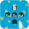 Feed For Rat
