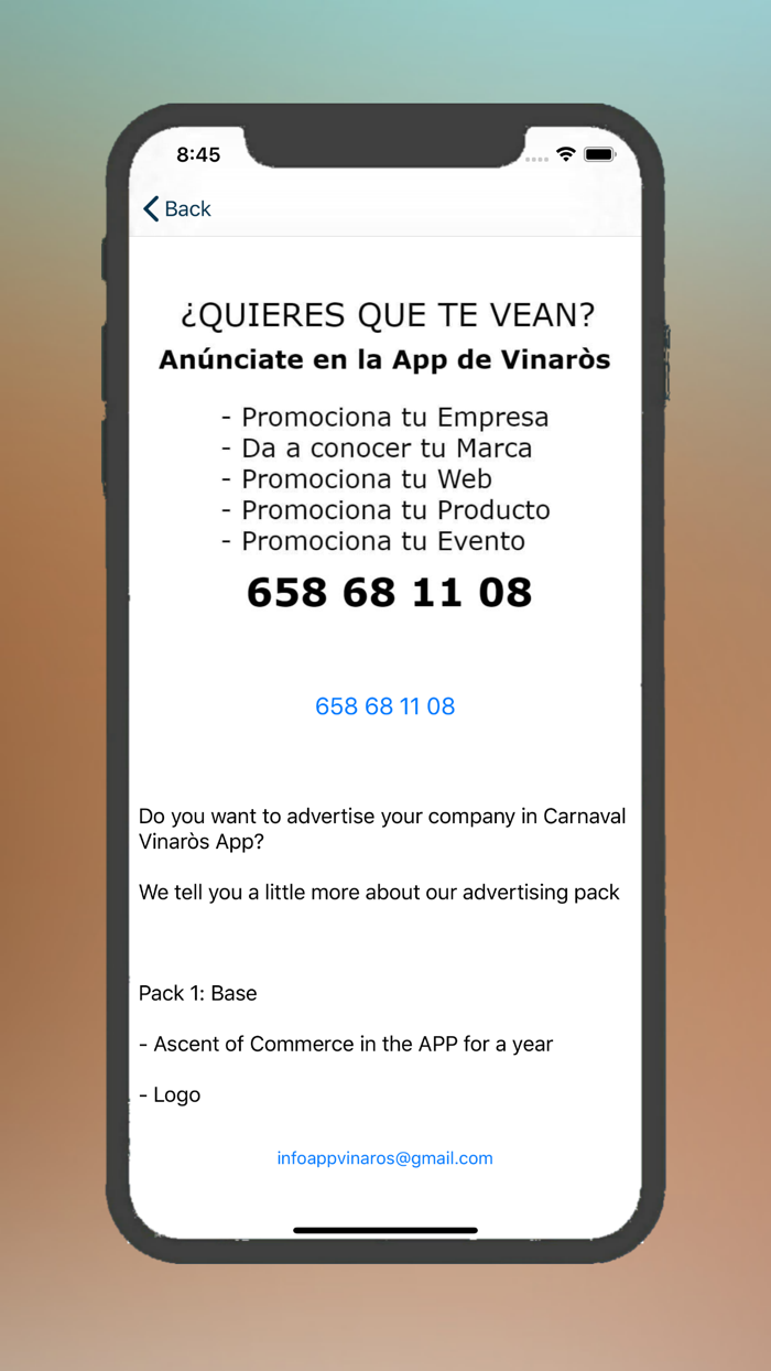 Carnaval de Vinaròs Oficial