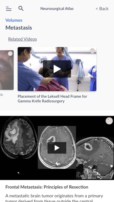 Neurosurgical Atlas screenshot 3
