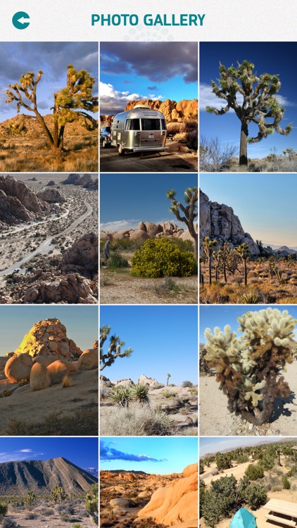 Joshua Tree National Park - US screenshot-3