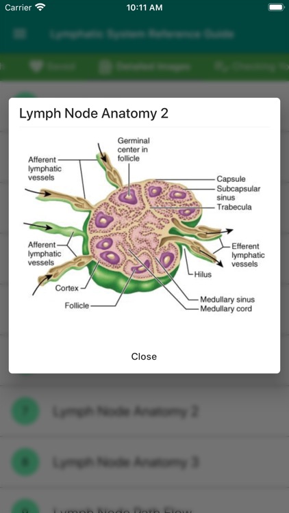 Lymphatic System Reference