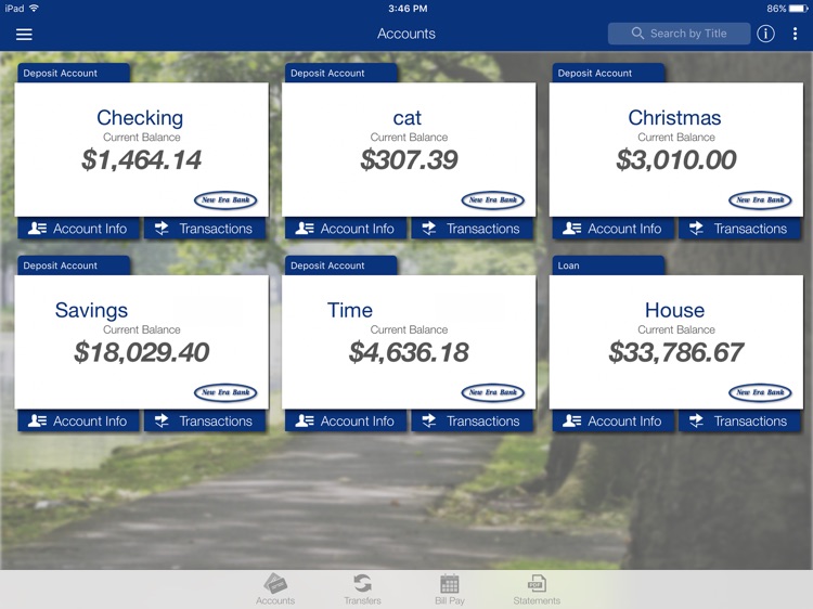 New Era Bank App for iPad