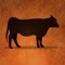 Mobile Cattle Tracker allows you to collect and access cattle records when they are needed