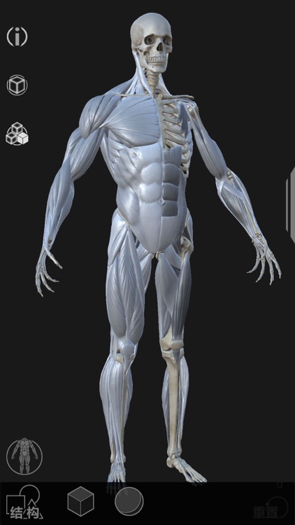 Artist's Anatomy screenshot-3