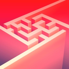 Activities of Advanced Maze