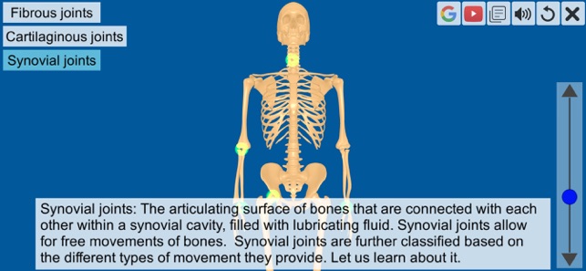 Joints: The Human Levers(圖3)-速報App