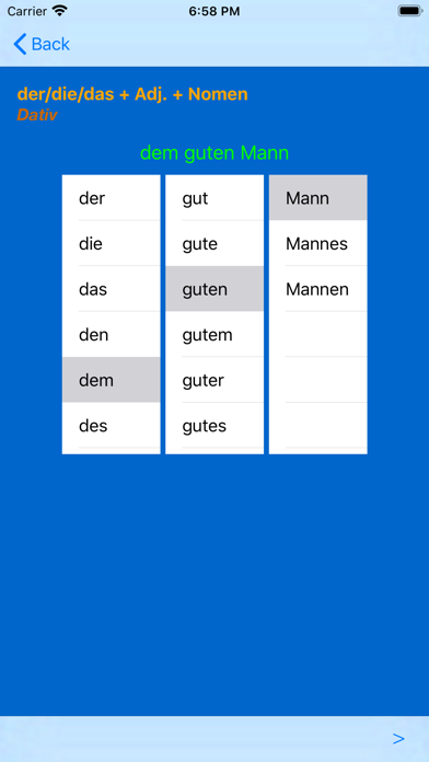 German Adjective Endings screenshot 4