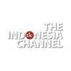 TIC The Indonesia Channel
