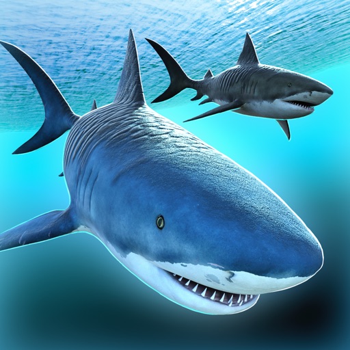 Sea Shark Adventure icon