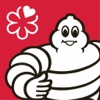 Michelin SG