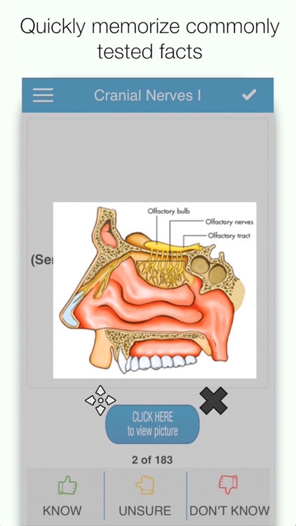 ADAT Anatomy Cram Cards screenshot-0