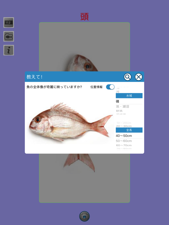 教えて!魚のおすすめ画像3