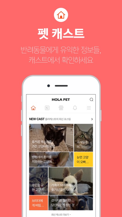 올라펫 (강아지, 고양이, 반려동물 커뮤니티) screenshot-5