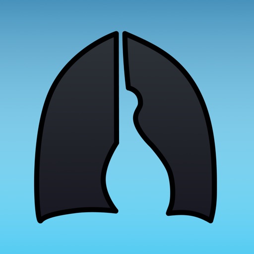 iCXR - Chest xray manual