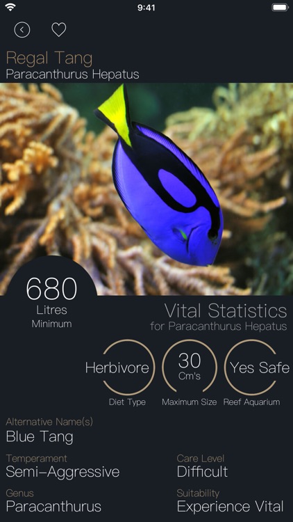 Pocket Marine screenshot-4