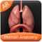 Human Anatomy Explorer app is a quick reference app that contains information about the ten different biological systems present in the human body in a visual and engaging manner