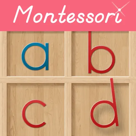 Montessori Movable Alphabet Cheats