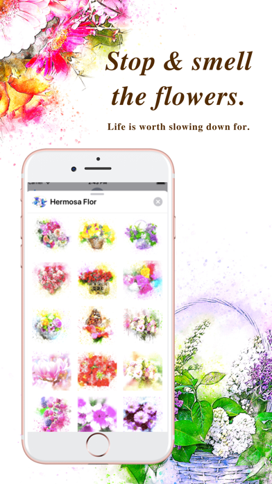 Hermosa Flor screenshot 3