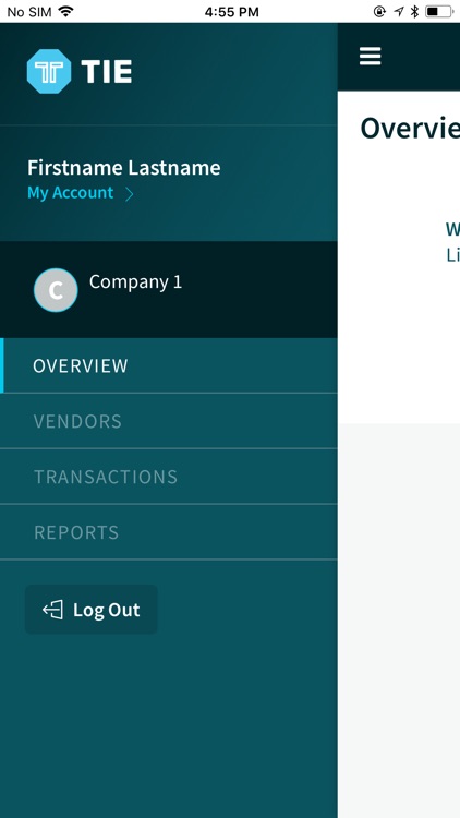 TIE Accounting screenshot-3