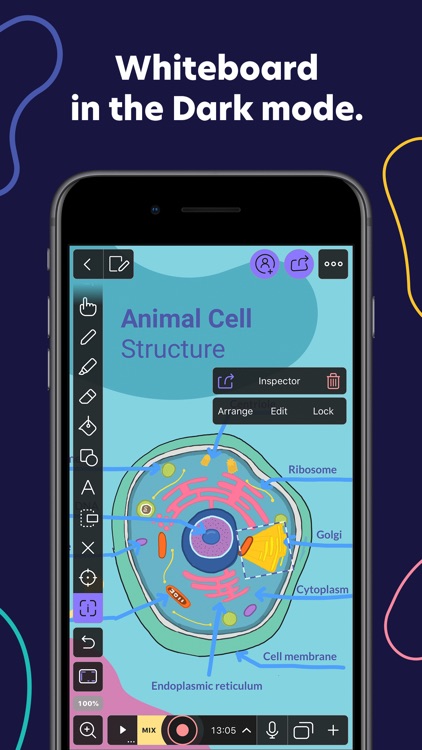 Explain EDU screenshot-3
