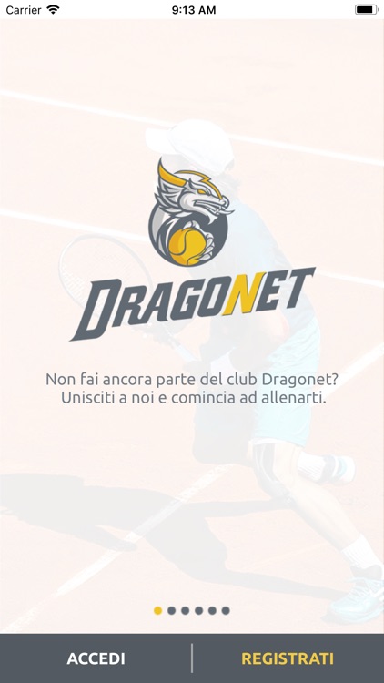 Dragonet Remote